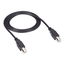USB08-0016: Type B/Type B, M/M, 4,9 m