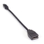 VA-MDP12-DP12: Adaptateur vidéo, Mini DisplayPort 1.2 à DisplayPort 1.2, M/F, 20.3 cm