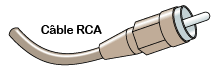 Câble coax RCA 